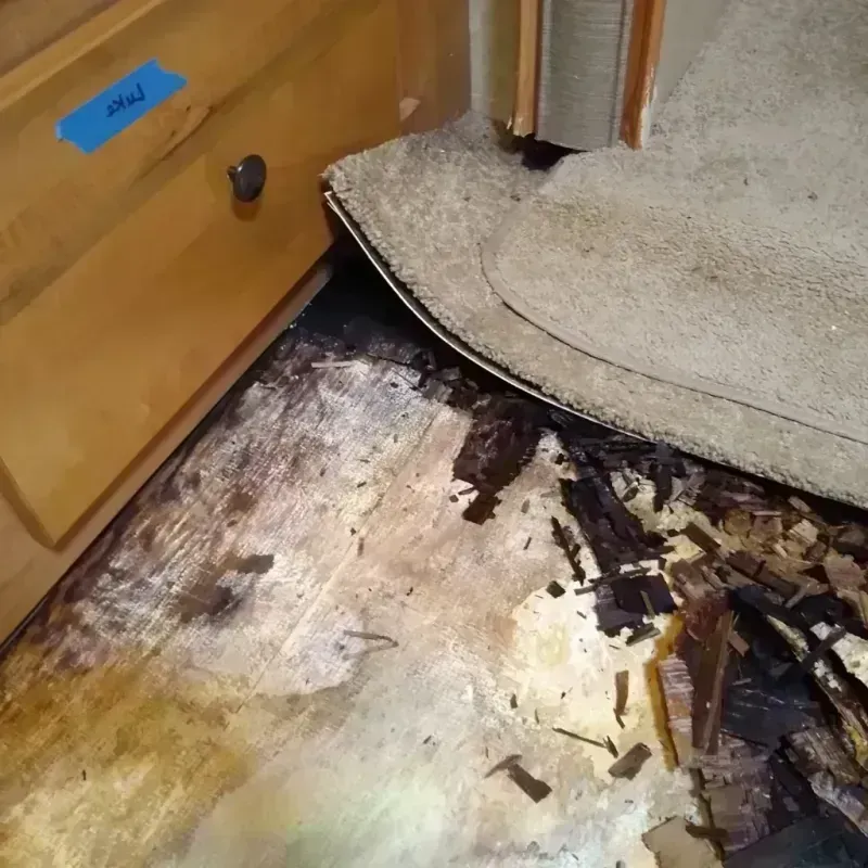 Wood Floor Water Damage in Windsor, CO